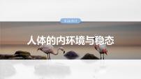 第八单元　第36课时　人体的内环境与稳态-2025年高考生物大一轮复习课件