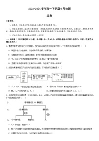 河南省许昌市高级中学2023-2024学年高一下学期6月月考试题 生物 Word版含答案