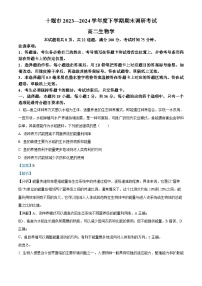 湖北省十堰市2023-2024学年高二下学期6月期末调研考试生物试卷（Word版附解析）