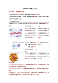 高中生物人教版 (2019)必修1《分子与细胞》第1节 细胞膜的结构和功能优秀导学案及答案