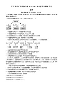 江西省重点中学协作体2023-2024学年高一下学期期末考试生物试题(无答案)