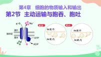 生物必修1《分子与细胞》第2节 主动运输与胞吞、胞吐优秀教学ppt课件