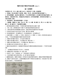 广东省梅州市2023-2024学年高一下学期期末联考生物试卷(无答案)