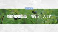 第三单元　第十二课时　细胞的能量“货币”ATP-2025年高考生物大一轮复习课件