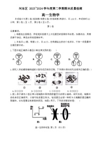 天津市河东区2023-2024学年高一下学期7月期末生物试题