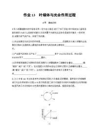 浙科版高考生物一轮复习作业13叶绿体与光合作用过程含答案