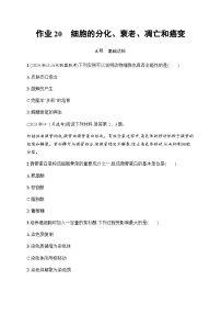 浙科版高考生物一轮复习作业20细胞的分化、衰老、凋亡和癌变含答案