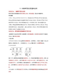 高中生物人教版 (2019)必修1《分子与细胞》第3节 细胞呼吸的原理和应用精品学案