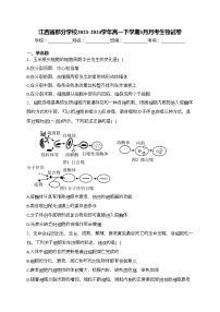 江西省部分学校2023-2024学年高一下学期3月月考生物试卷(含答案)