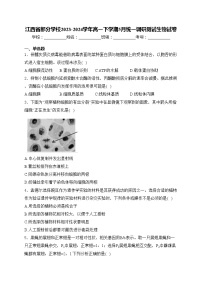 江西省部分学校2023-2024学年高一下学期5月统一调研测试生物试卷(含答案)