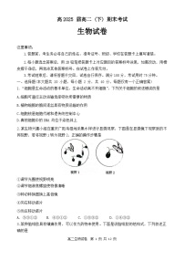 重庆市巴蜀中学2023-2024学年高二下学期7月期末生物试题（Word附含答案）