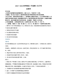 安徽省亳州市涡阳县2023-2024学年高二下学期5月期中生物试卷（Word版附解析）