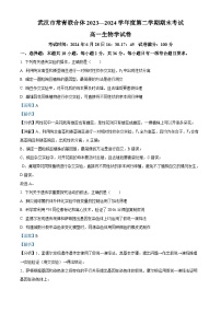 湖北省武汉市常青联合体重点中学2023-2024学年高一下学期期末联考生物试卷（Word版附解析）