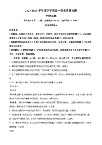 湖北省武汉市黄陂区2023—2024学年高一下学期期末考试生物试题（Word版附解析）