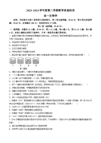 广东省东莞市2023-2024学年高一下学期7月期末生物试题(无答案)