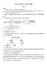 河南省许昌市魏都区许昌高级中学2023-2024学年高一下学期7月月考生物试题