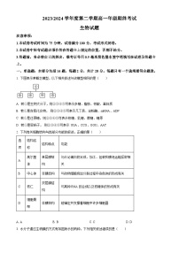 江苏省盐城市2023-2024学年高一下学期6月期末考试生物试题（Word版附解析）