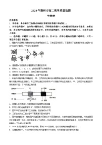 安徽省滁州市2023-2024学年高二下学期7月期末考试生物试卷（Word版附答案）