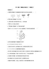 高中生物人教版 (2019)必修1《分子与细胞》第2节 细胞器之间的分工合作练习