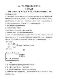 湖南省娄底市涟源市2023-2024学年高二下学期7月期末考试生物试卷（Word版附解析）