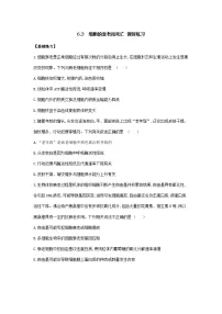 人教版 (2019)必修1《分子与细胞》第6章 细胞的生命历程第3节 细胞的衰老和死亡同步测试题