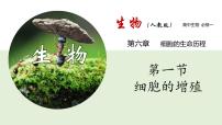 高中生物人教版 (2019)必修1《分子与细胞》第1节 细胞的增殖评课ppt课件