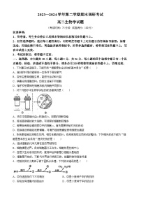 河南省开封市2023-2024学年高二下学期期末考试生物试题