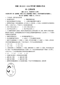 河南省项城市第三高级中学2023-2024学年高一下学期期末考试生物试题