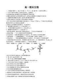 吉林省通化市梅河口市第五中学2023-2024学年高一下学期7月期末生物试题