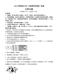 甘肃省普通高中2023-2024学年高一下学期期末教学质量统一检测生物试题