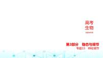 新高考生物总复习专题13神经调节练习课件