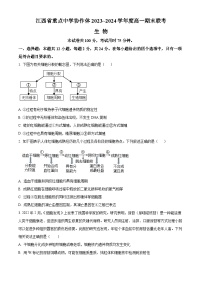 江西省重点中学协作体2023-2024学年高一下学期期末考试生物试题（Word版附解析）