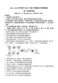 广西南宁市2023-2024学年高二下学期期末考试生物试题（Word版附解析）