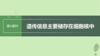 2024届高考生物一轮复习第二单元细胞的结构和生命活动第4课时遗传信息主要储存在细胞核中课件（苏教版）