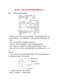 2024届高考生物一轮复习教案第八单元生命活动的调节微专题八动物生命活动调节模型的构建和分析（苏教版）