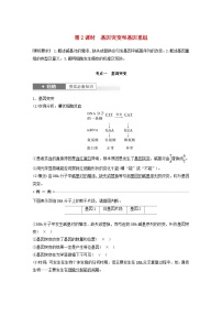 2024届高考生物一轮复习教案第七单元生物的变异和进化第2课时基因突变和基因重组（苏教版）