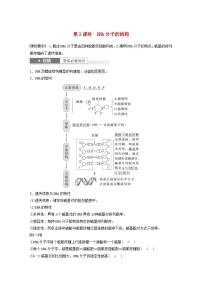 2024届高考生物一轮复习教案第六单元遗传的分子基础第2课时DNA分子的结构（苏教版）