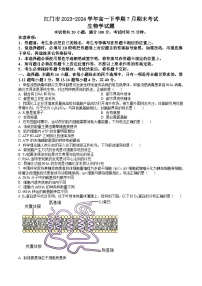 广东省江门市2023-2024学年高一下学期7月期末考试 生物试题 Word版含答案