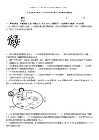 [生物][期末]江苏省泰州市泰兴市2023-2024学年高一下学期期末生物试题