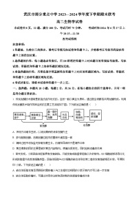 湖北省武汉市部分重点中学2023-2024学年高二下学期期末联考生物试卷（Word版附解析）