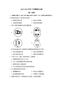 湖南省益阳市安化县两校联考2023-2024学年高一下学期7月期末生物试卷（Word版附答案）