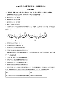 广东省深圳市2023-2024学年高一下学期7月期末考试生物试卷（Word版附解析）