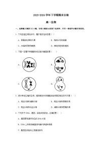 湖南省益阳市安化县两校联考2023-2024学年高一下学期7月期末生物试卷word版含答案