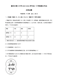 湖南省衡阳市第八中学2023-2024学年高一下学期期末考试生物试题　（含答案）