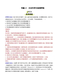 专题05 光合作用与细胞呼吸-2024年高考真题和模拟题生物分类汇编