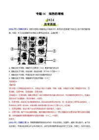 专题06 细胞的增殖-2024年高考真题和模拟题生物分类汇编