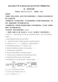 湖北省武汉市重点中学5G联合体2023-2024学年高一下学期期末考试生物试卷（含答案）