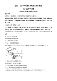 河南省开封市2023-2024学年高一下学期7月期末考试生物试卷（Word版附解析）