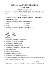 广西桂林市2023-2024学年高一下学期期末考试生物试卷（Word版附解析）