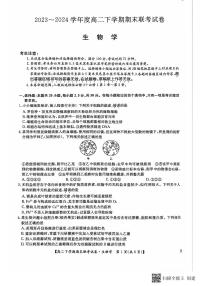 河南省商丘市商师联盟2023-2024学年高二下学期7月期末生物试题